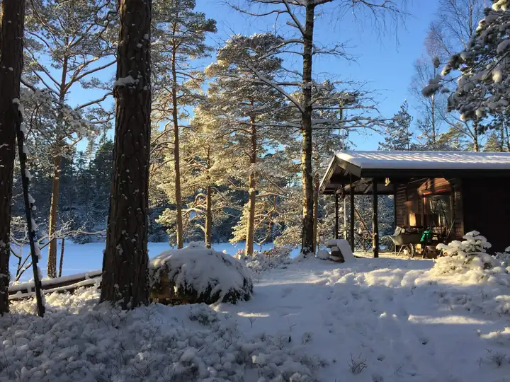 The cabin in winter snow