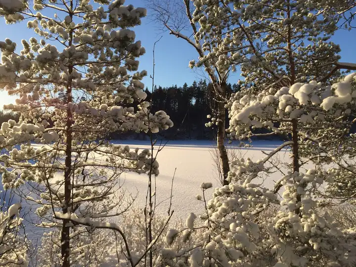 The frozen lake in winter