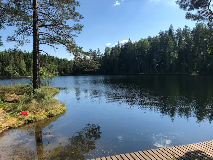 The lake on a sunny day