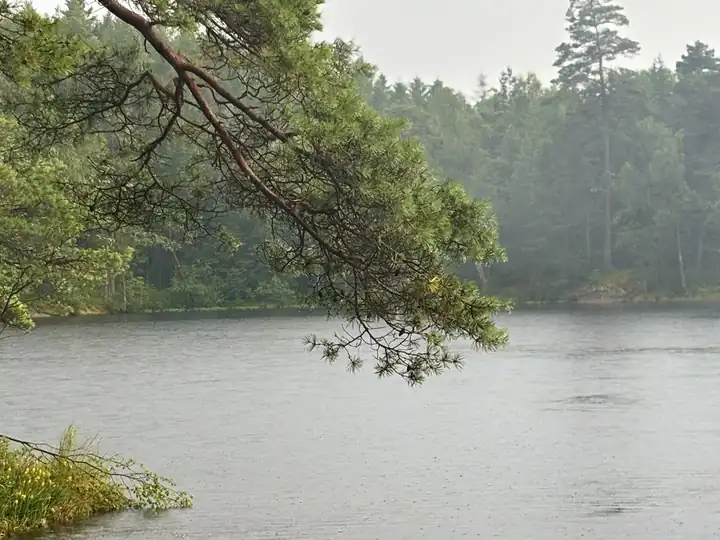 Rain over the lake