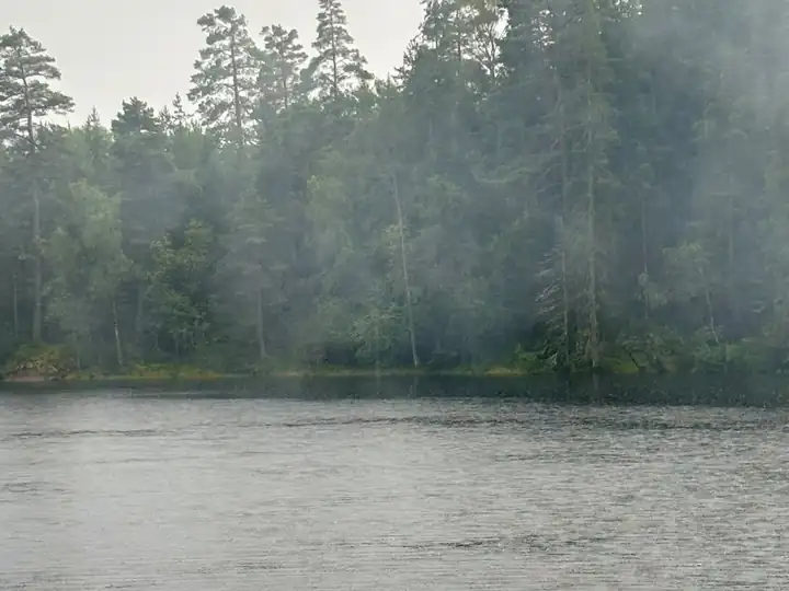 Mist and rain over the lake