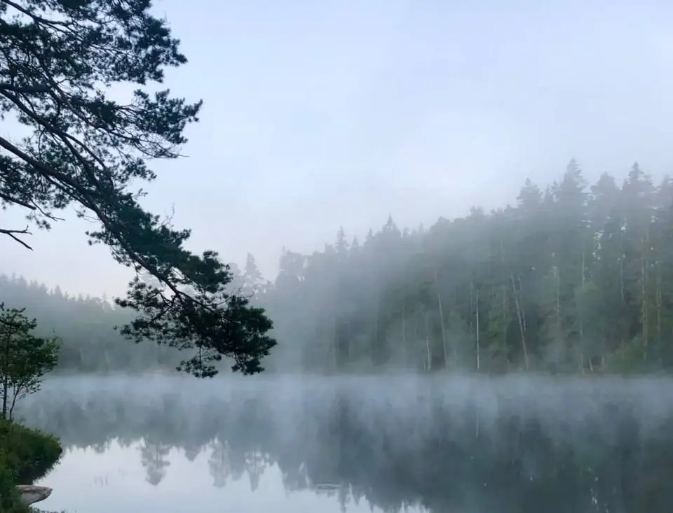 Morning mist over the lake